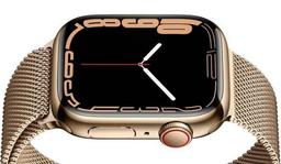 Refurbished Apple Watch Series 7 - Reebelo Österreich