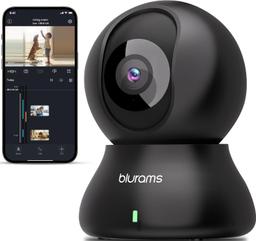 Refurbished Blurams A31 Dome Lite Security Camera - Reebelo Österreich