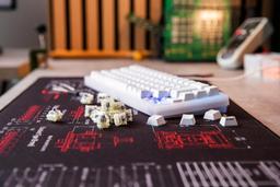 Refurbished CHERRY MX RGB Speed Silver Switch Kit - Reebelo Österreich