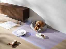 Refurbished Dreame L40S Pro Ultra Robot Vacuum Cleaner and Mop with Self-Cleaning - Reebelo Österreich