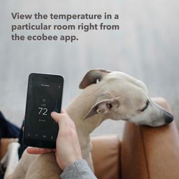 Refurbished Ecobee SmartSensors for Indoor (2 Pack) - Reebelo Österreich