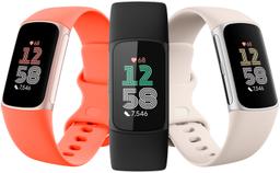 Refurbished Fitbit Charge 6 Fitness Tracker - Reebelo Österreich