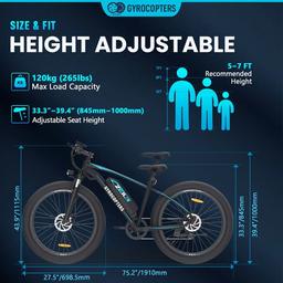 Refurbished Gyrocopters Zeil Mountain E-Bike - Reebelo Österreich