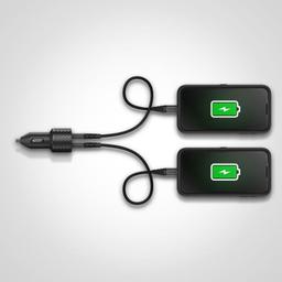 Refurbished OtterBox USB-A Dual Port Autoladegerät (24W) - Reebelo Österreich