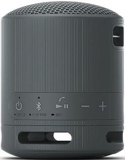 Refurbished Sony SRS-XB100 Portabler kabelloser Lautsprecher - Reebelo Österreich