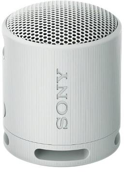 Refurbished Sony SRS-XB100 Portabler kabelloser Lautsprecher - Reebelo Österreich
