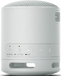 Refurbished Sony SRS-XB100 Portabler kabelloser Lautsprecher - Reebelo Österreich