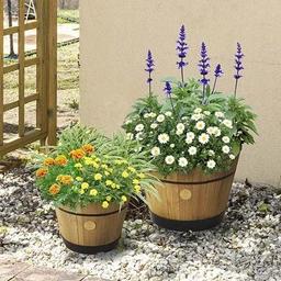 Refurbished VegTrug Build a Barrel Kit Planter 46cm - Reebelo Österreich