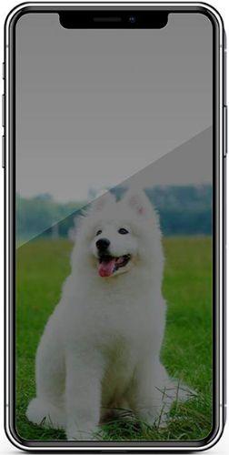 Refurbished Nuglas (2 Stück) Flaches Privacy-Panzerglas-Displayschutz für iPhone 11 Pro/ XS/ X - Reebelo Österreich